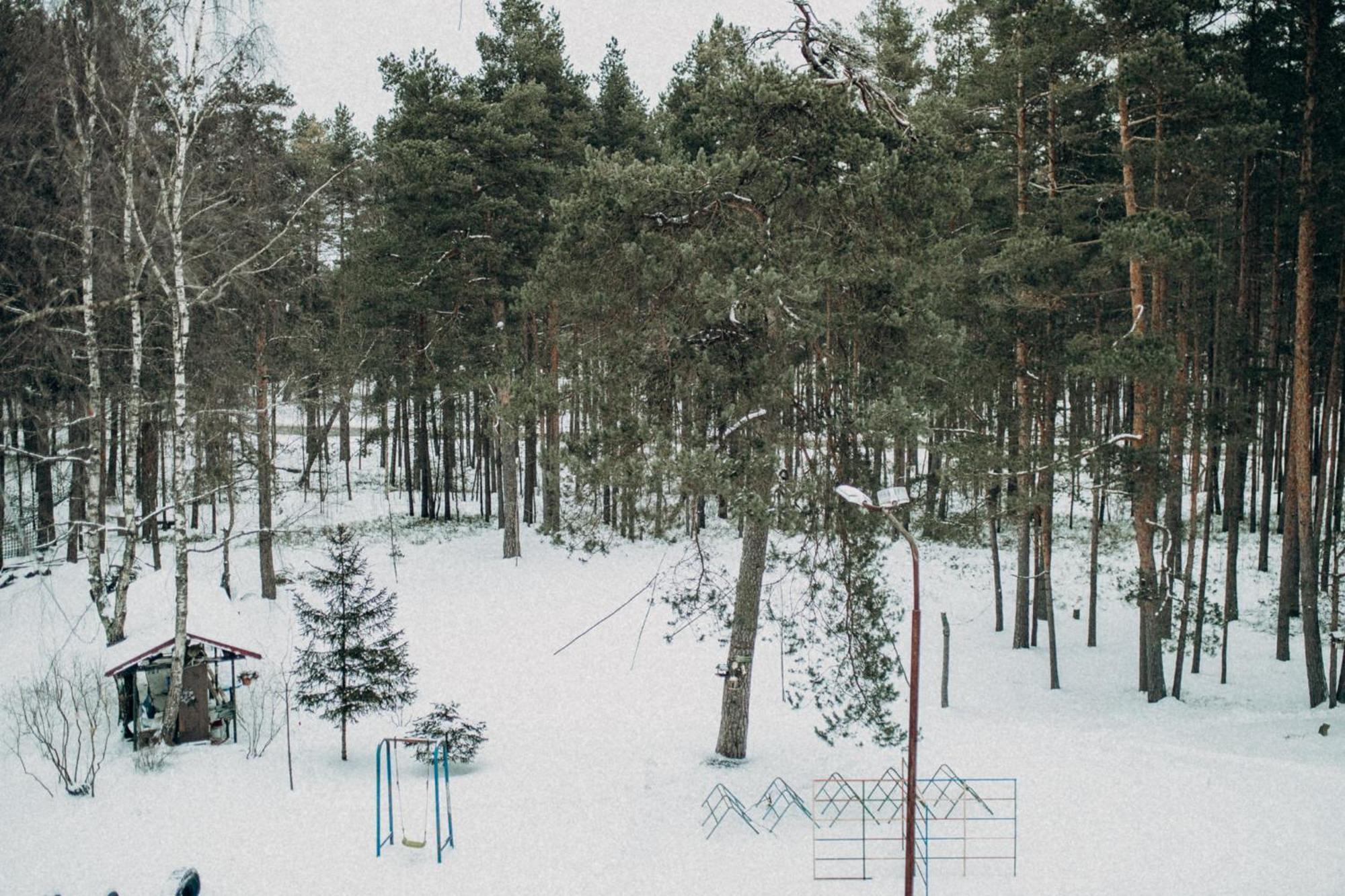 Forest & Sea * Jūrkalne
